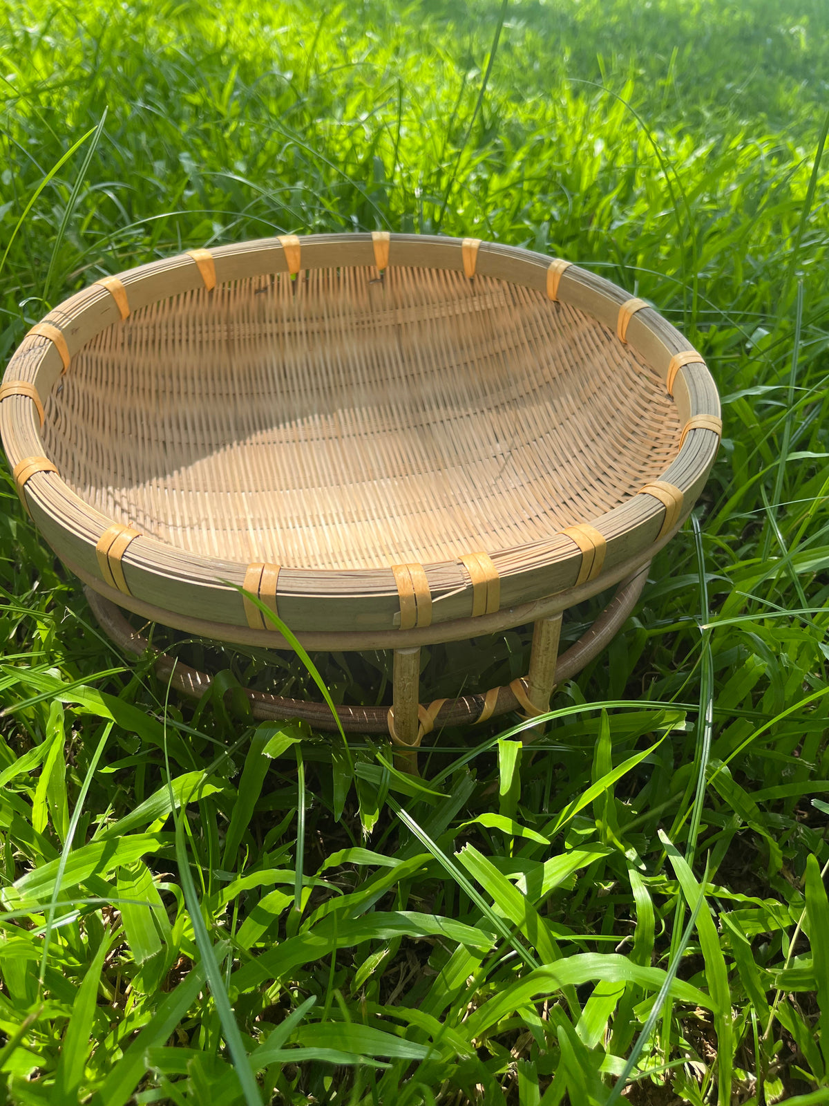 Bamboo’s Quiet Whisper —— Finding Peace in Haste
