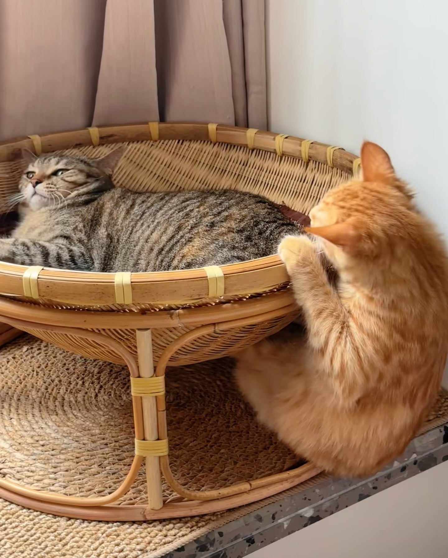 Handwoven Bamboo Cat Bed with Base, Four Seasons Universal Pet Nest, Moisture-Proof & Moth-Proof Breathable Cat House 30cm