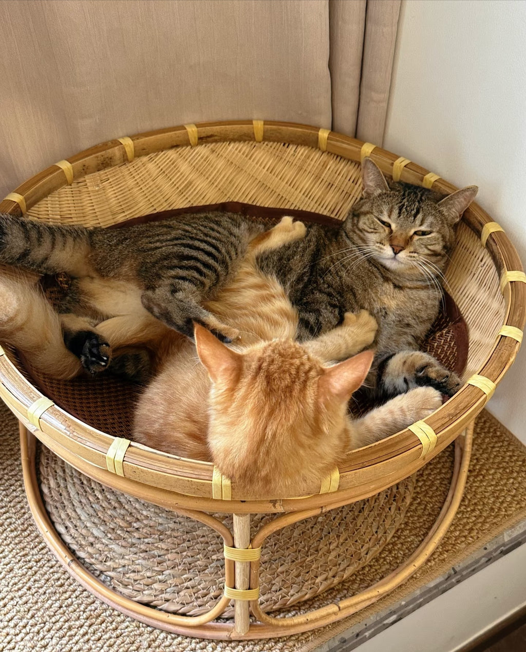 Handwoven Bamboo Cat Bed with Base, Four Seasons Universal Pet Nest, Moisture-Proof & Moth-Proof Breathable Cat House 30cm
