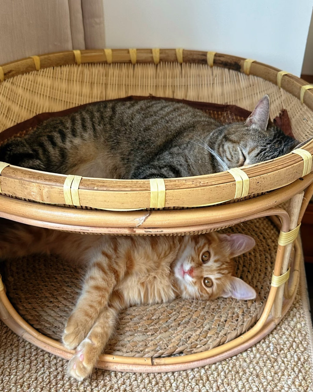 Handwoven Bamboo Cat Bed with Base, Four Seasons Universal Pet Nest, Moisture-Proof & Moth-Proof Breathable Cat House 30cm