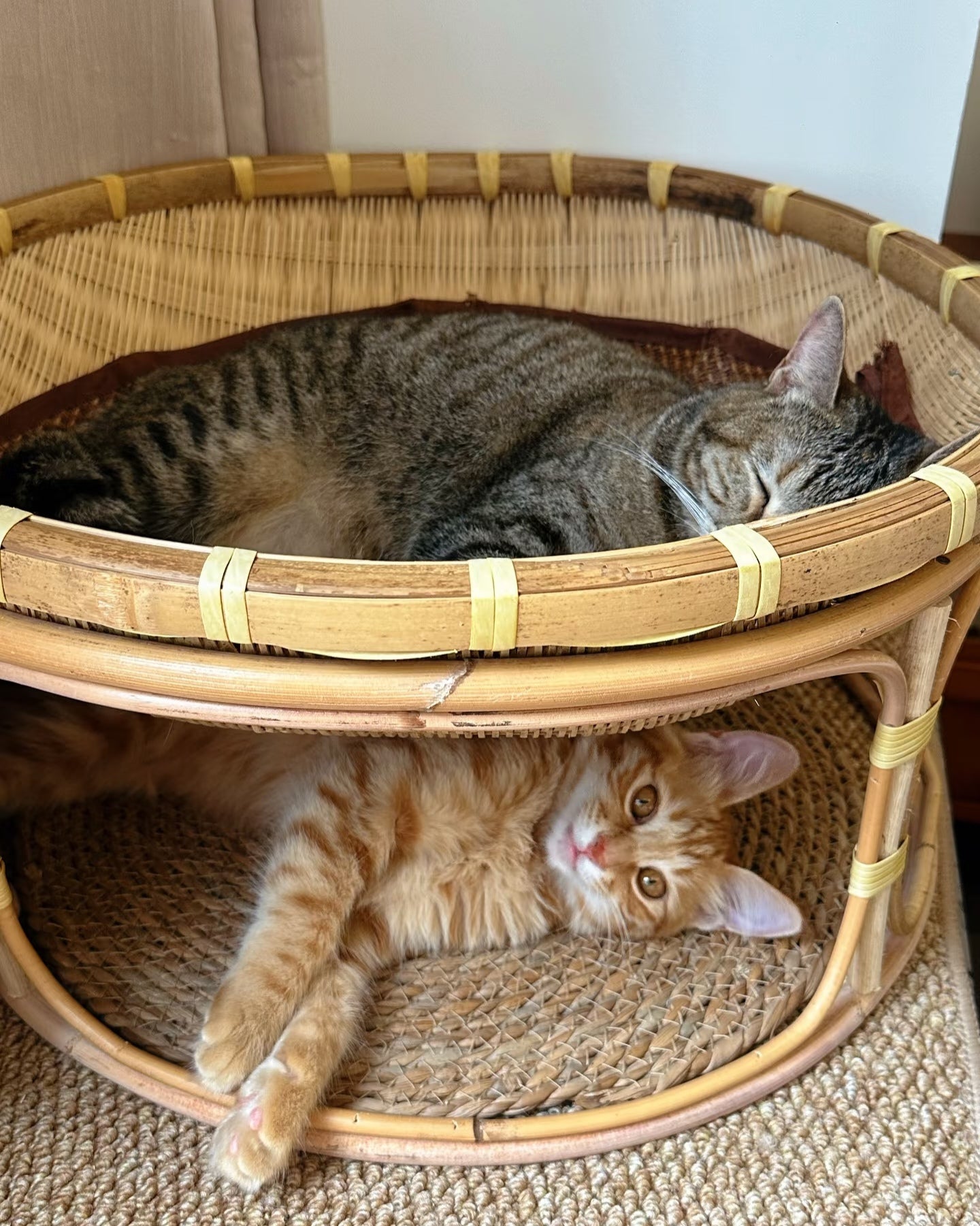 Handwoven Bamboo Cat Bed with Base, Four Seasons Universal Pet Nest, Moisture-Proof & Moth-Proof Breathable Cat House 30cm