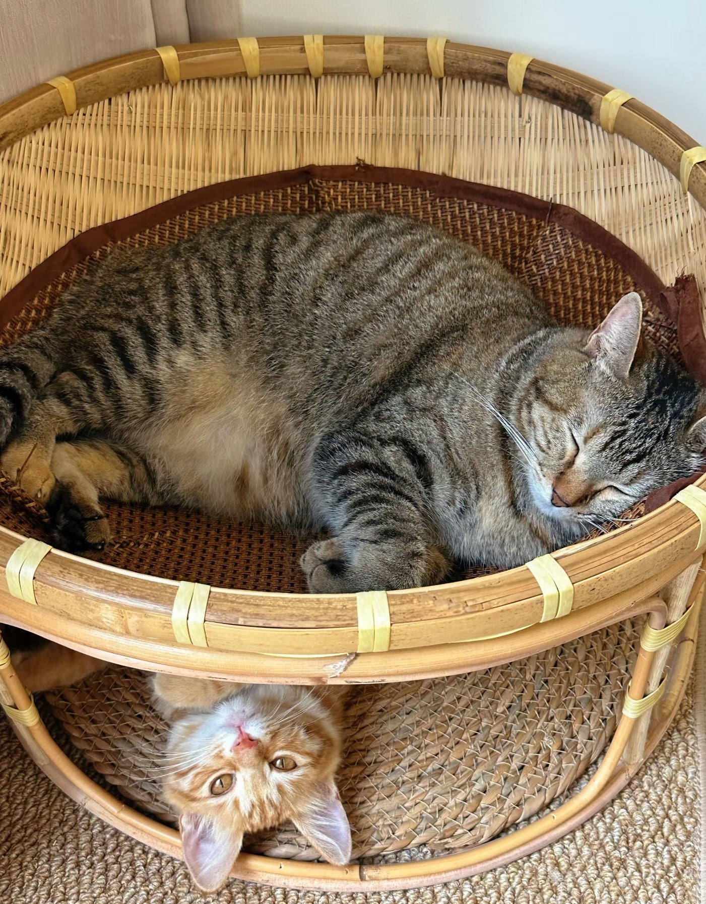 Handwoven Bamboo Cat Bed with Base, Four Seasons Universal Pet Nest, Moisture-Proof & Moth-Proof Breathable Cat House 30cm